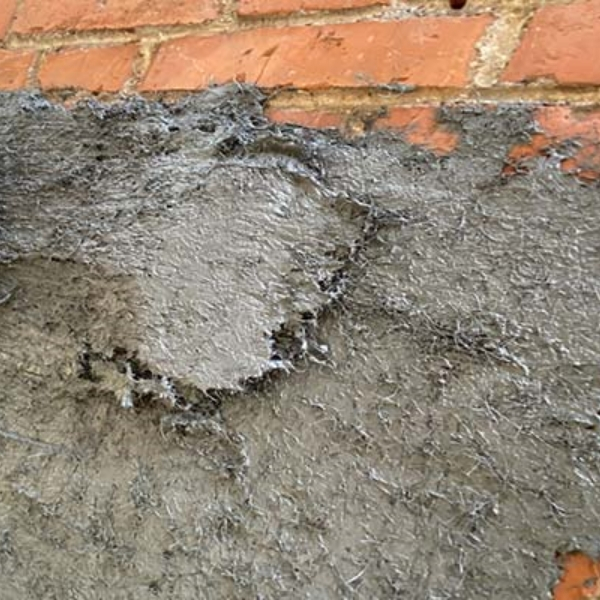 �����Ի���ʿ